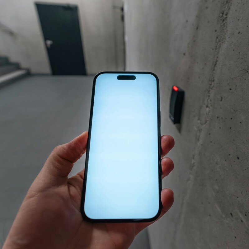 jakub-zerdzicki-UyWuiljE25w-unsplash (1) (1)